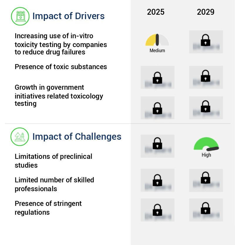 In-Vitro Toxicity Testing Market Size