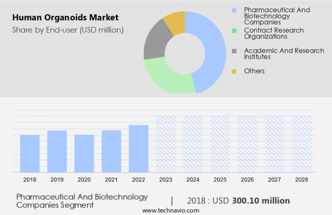 Human Organoids Market Size