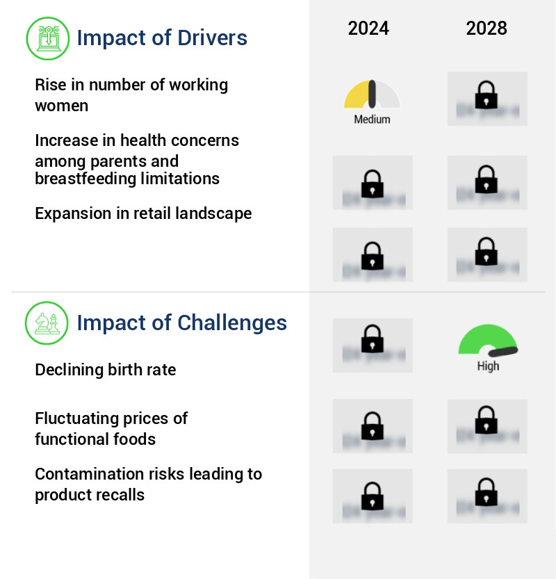 Plant-based Protein Products Market for Infants Size