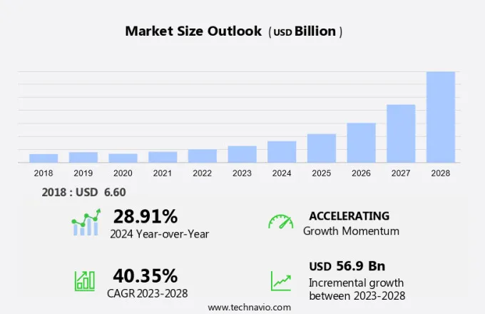 Drone Identification Systems Market Size