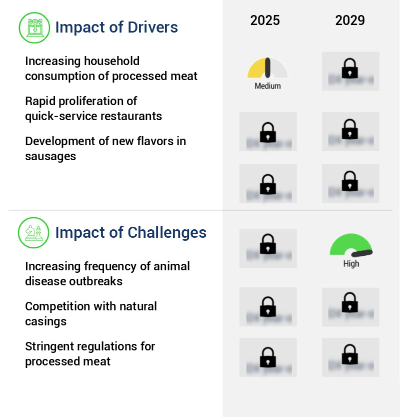 Man-Made Sausage Casing Market Size