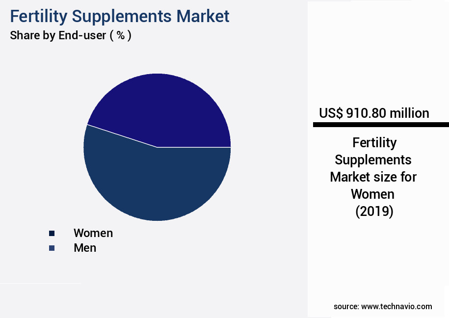 Fertility Supplements Market Size