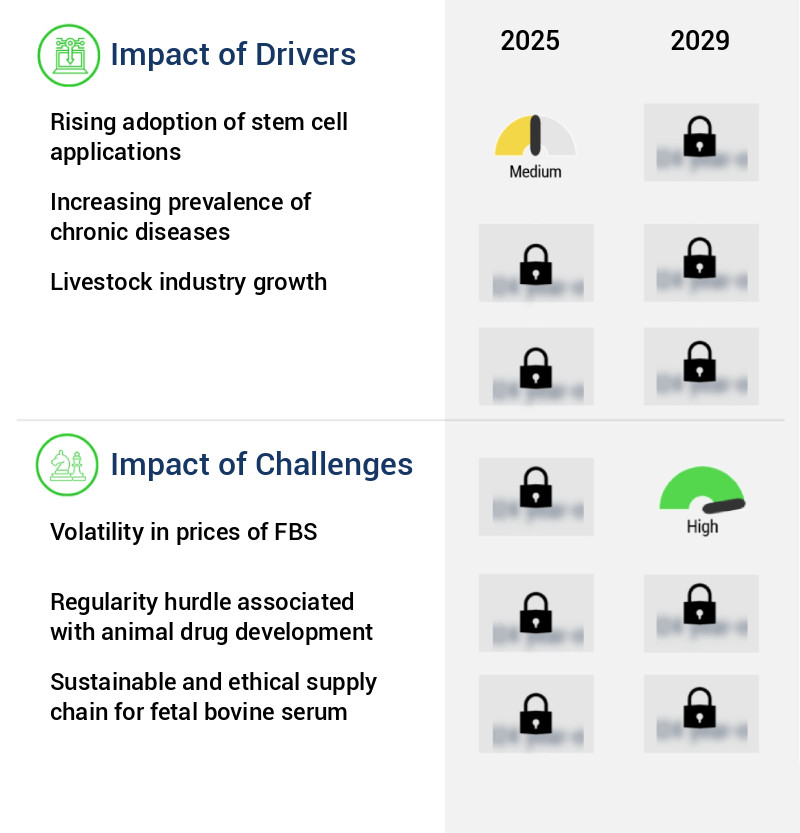 Fetal Bovine Serum Market Size