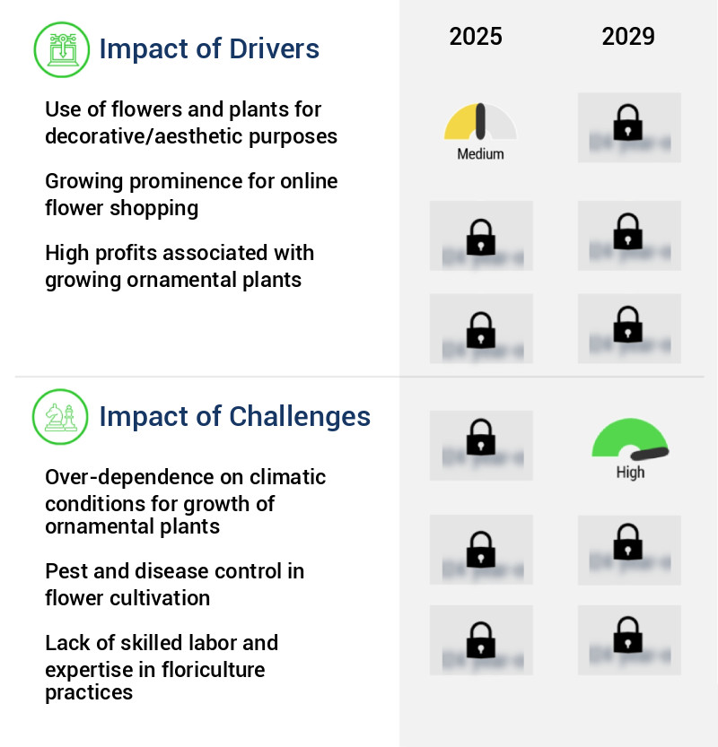 Floriculture Market in Vietnam Size