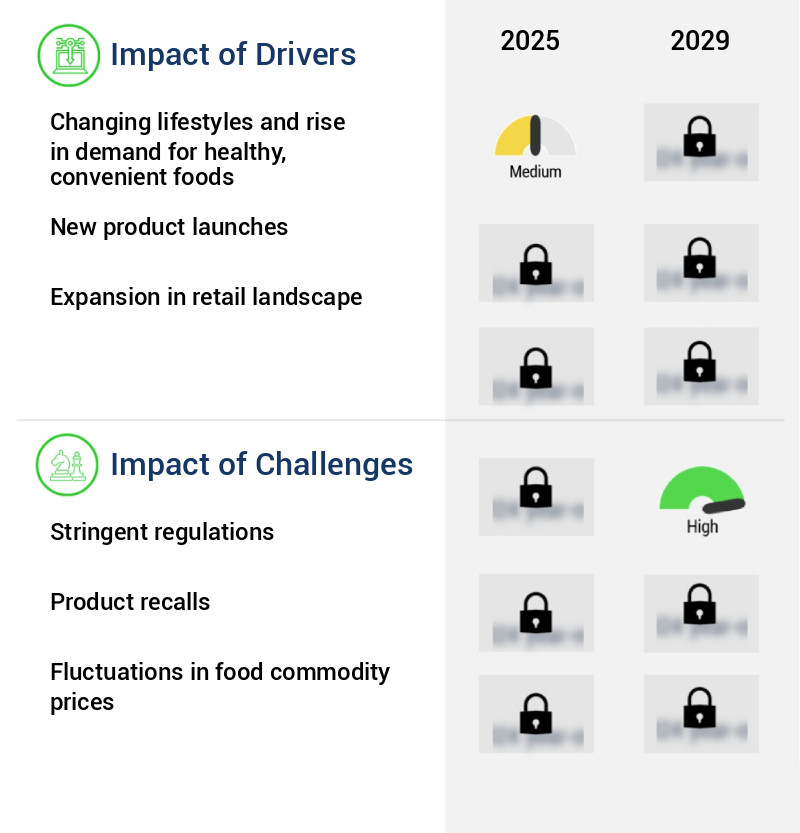 Hispanic Foods Market Size