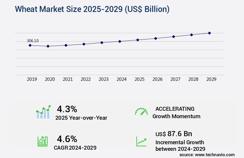 Wheat Market Size