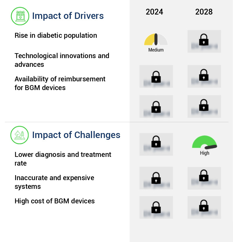 Continuous Glucose Monitoring (CGM) Market Size