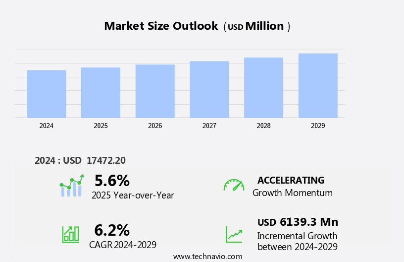 Small Kitchen Appliances Market in Europe Size