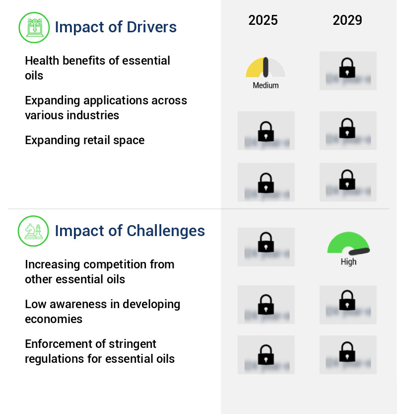 Mentha Oil Market Size