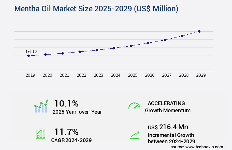 Mentha Oil Market Size