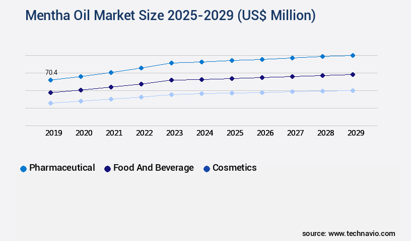 Mentha Oil Market Size