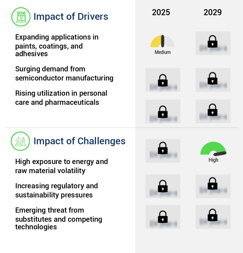 Fumed Silica Market Size
