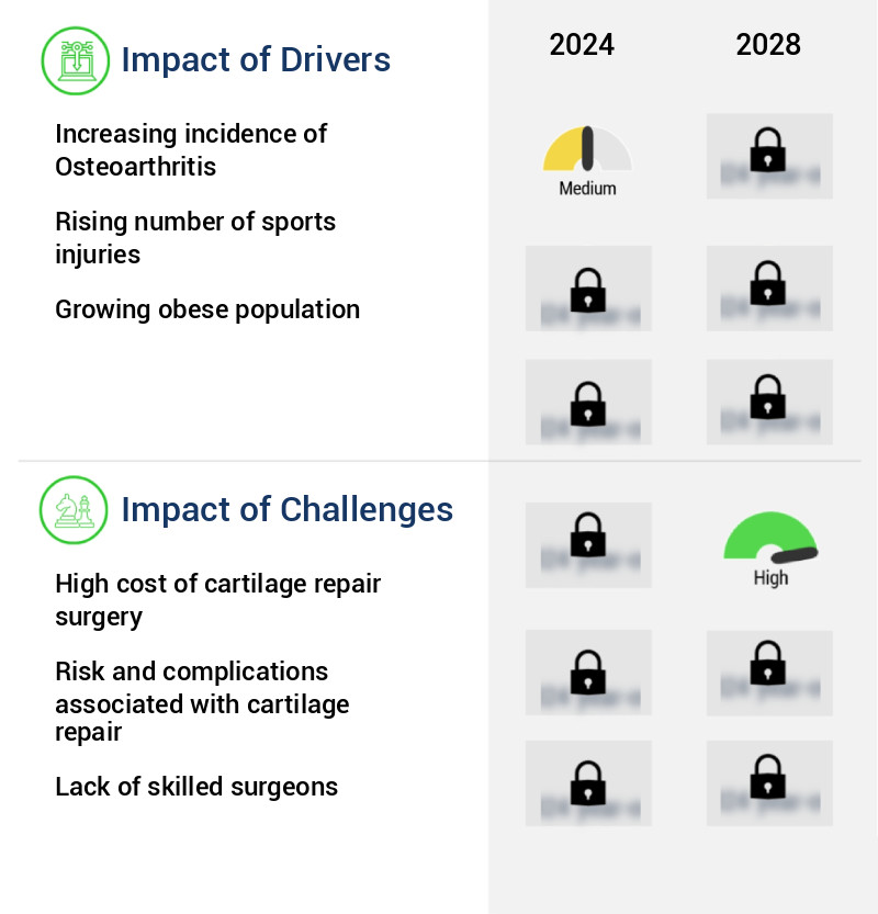 Cartilage Repair Market Size