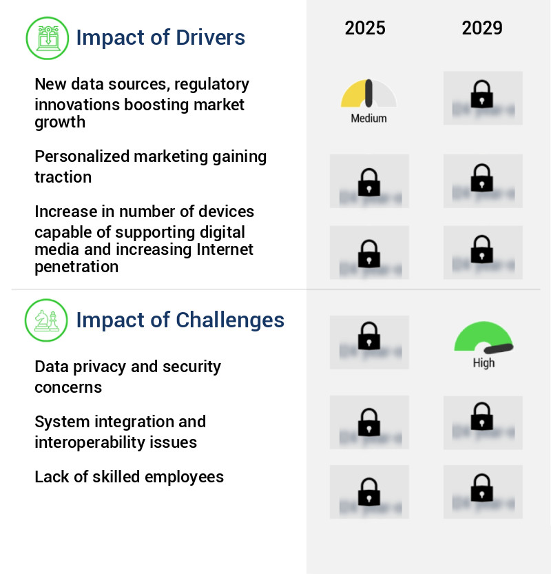 Digital Marketing Software (DMS) Market Size
