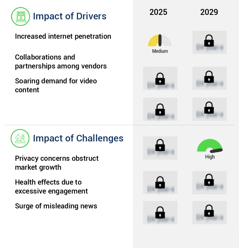 Social Networking Market Size