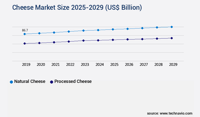 Cheese Market Size