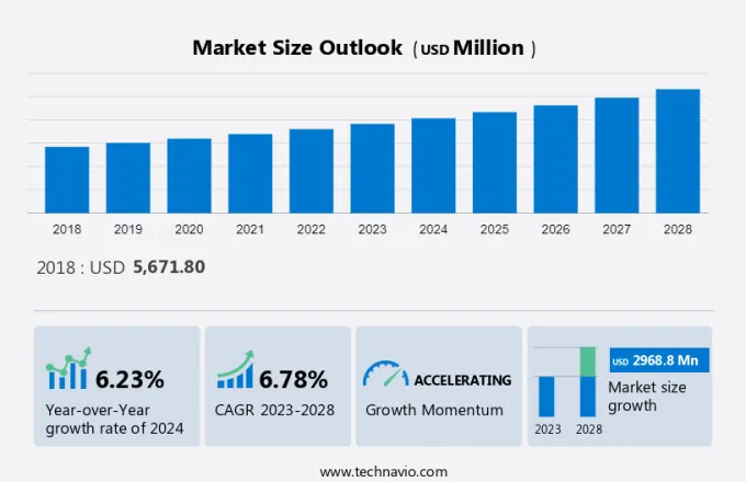 Sports Medicine Market Size