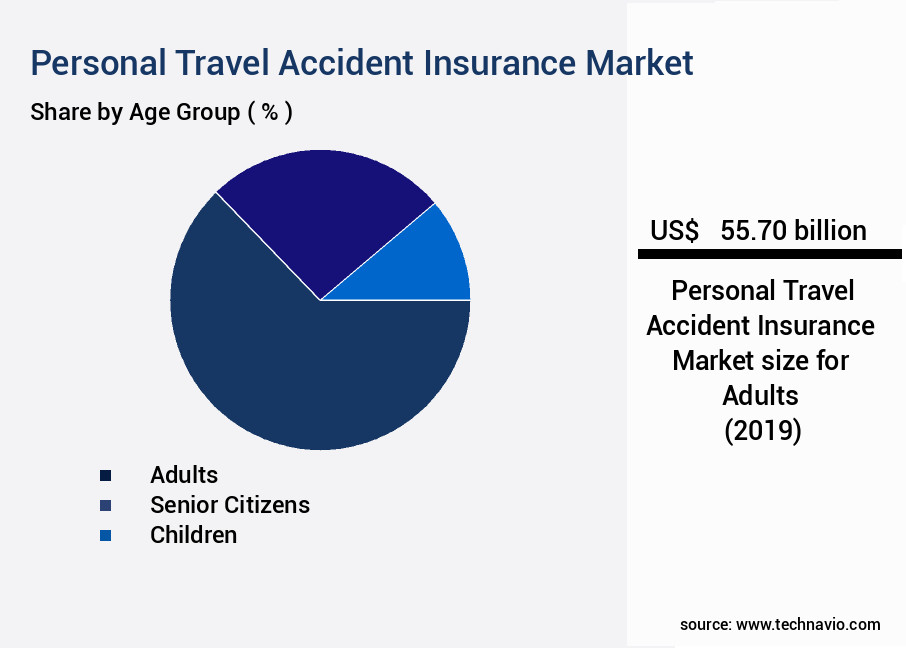 Personal Travel Accident Insurance Market Size