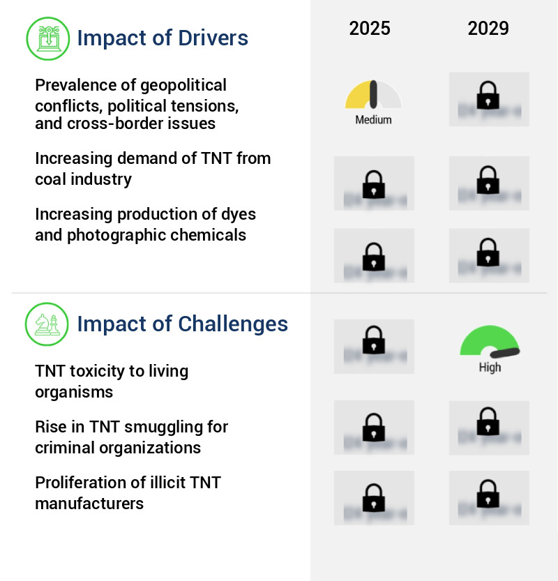 Trinitrotoluene (TNT) Market Size