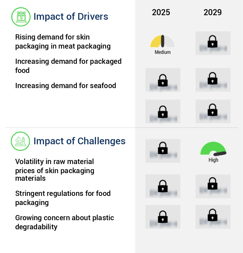 Skin Packaging Market Size
