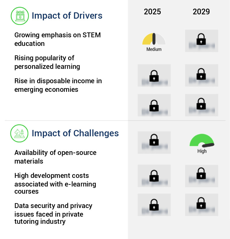 Private Tutoring Market Size