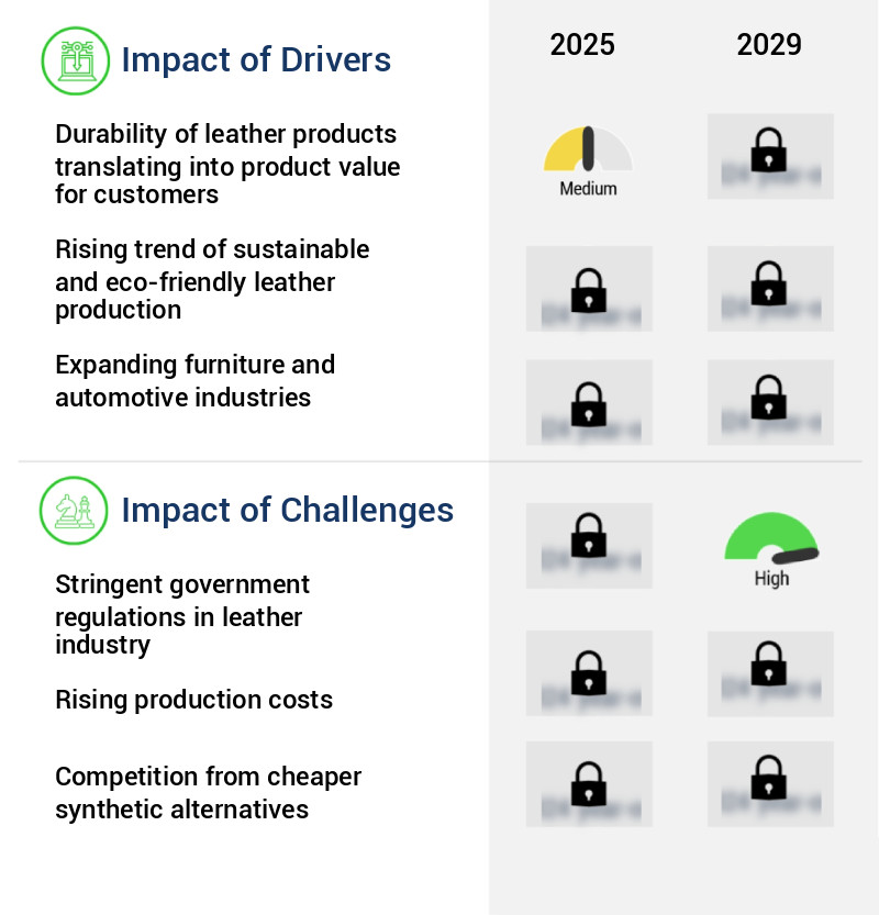 Leather Tanning Machinery Market Size