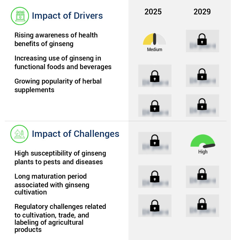 Ginseng Market Size