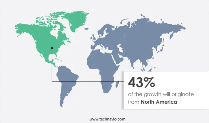 Automation Testing Market Share by Geography