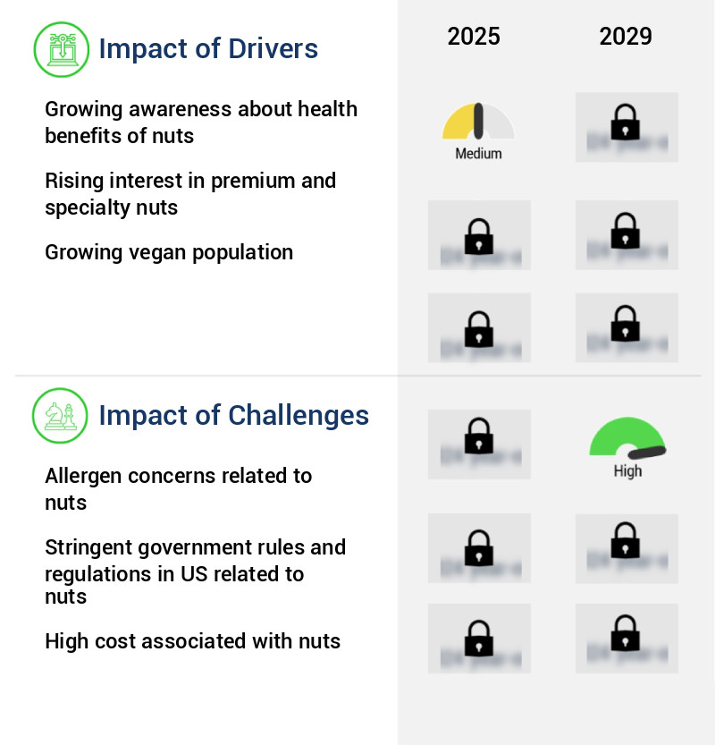 Nuts Market in US Size