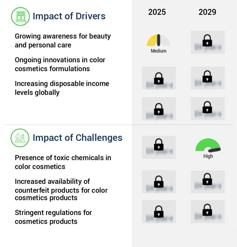 Color Cosmetics Market Size