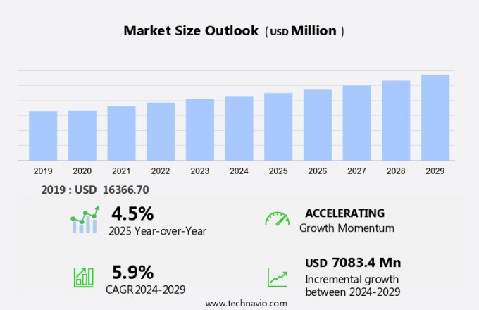 Content Management Software Market Size