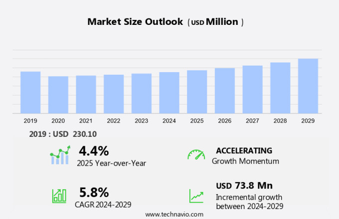 Sheet Mica Market Size