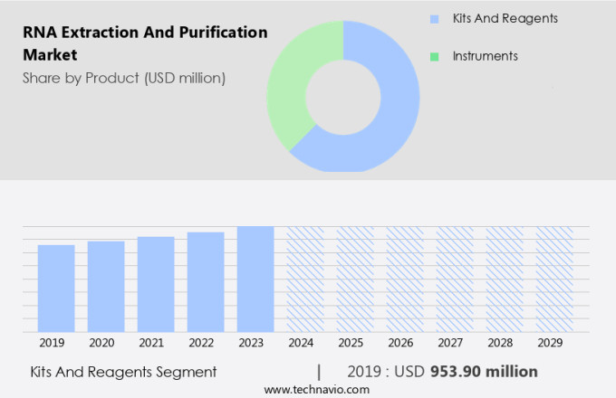 RNA Extraction And Purification Market Size