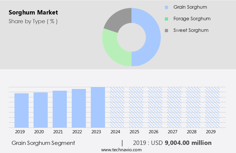 Sorghum Market Size