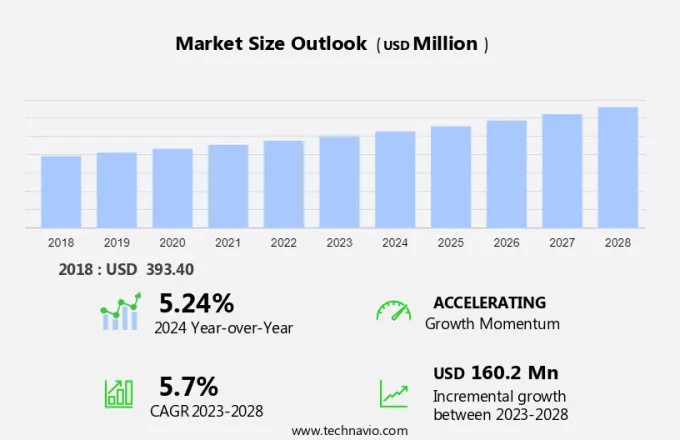 Primary Ciliary Dyskinesia Market Size