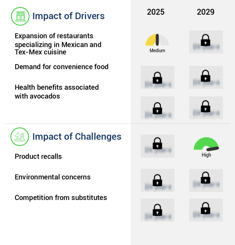 Guacamole Market Size