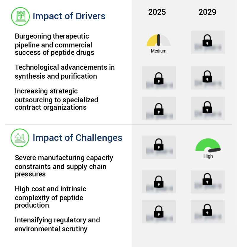 Peptide Synthesis Market Size