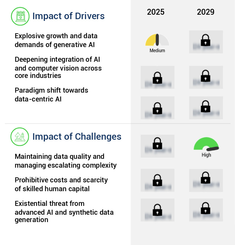 Data Labeling And Annotation Tools Market Size