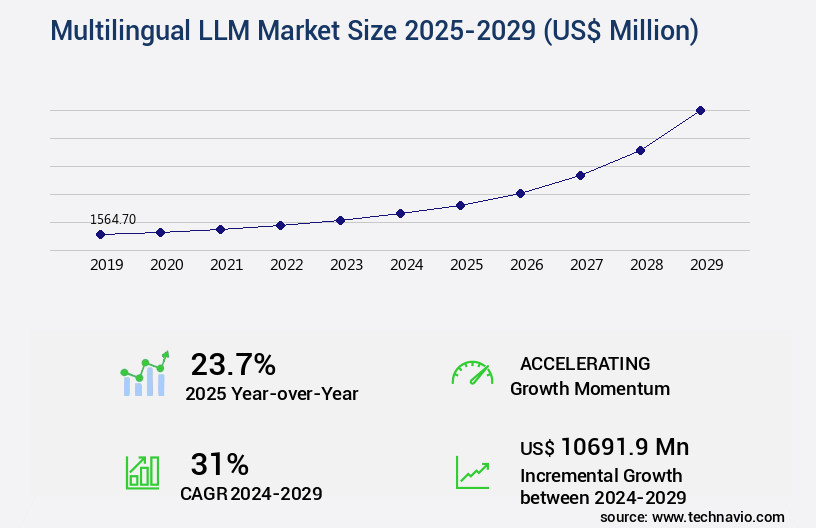 Multilingual LLM Market Size