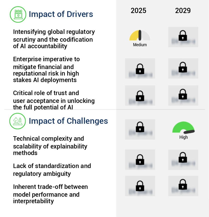 AI Explainability And Transparency Market Size