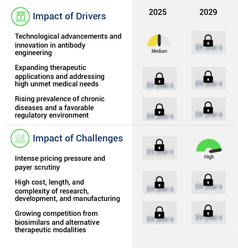 Antibody Market Size