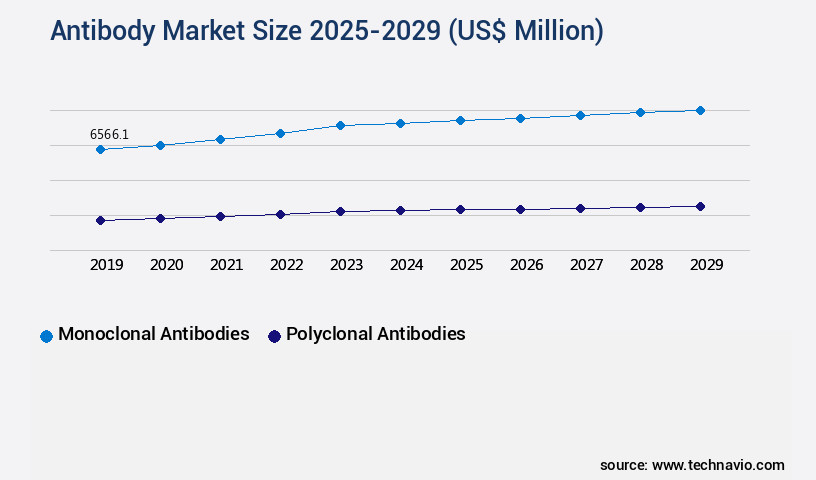 Antibody Market Size