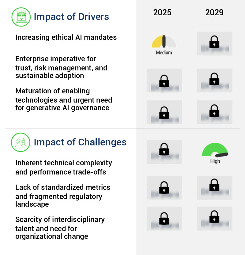 Human-Centered AI Market Size