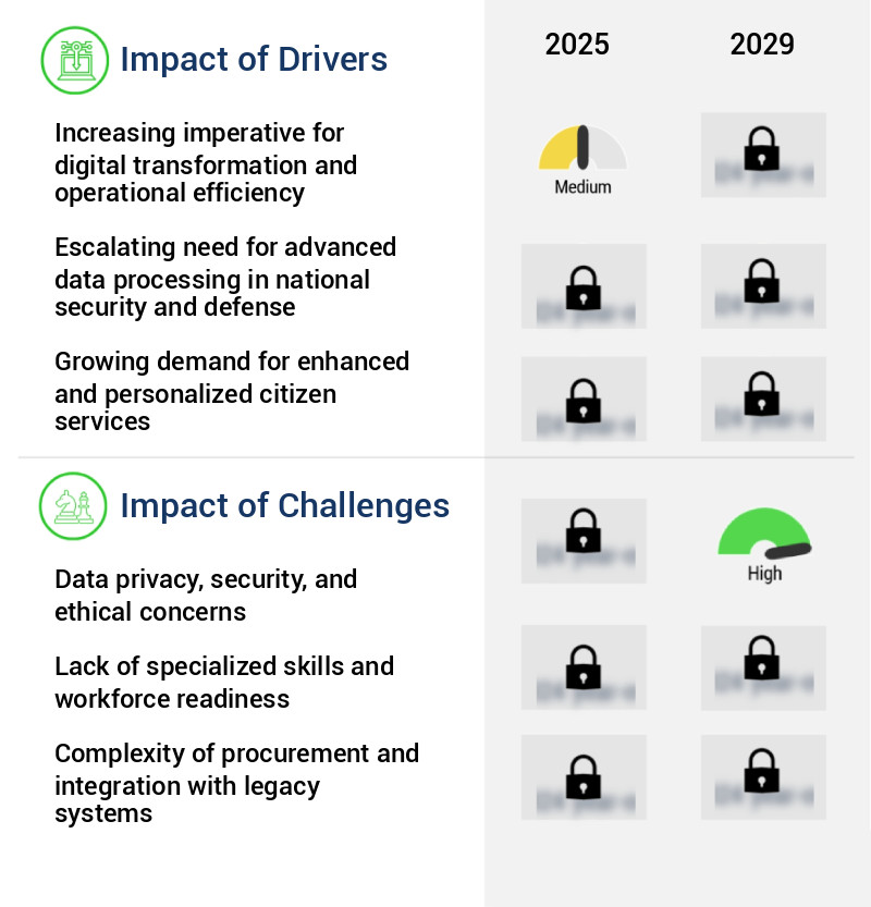 AI In Government Sector Market Size